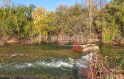 Belmonte e Colmeal da Torre, Castelo Branco 6250