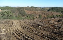 SANTANA DA SERRA, Beja District