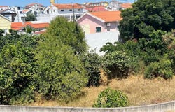 Charneca de Caparica e Sobreda, Setubal