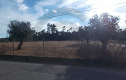 Brogueira, Santarém District