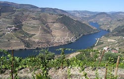 Tabuaço, Viseu District