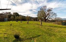 Ribeira, Viana Do Castelo 4990