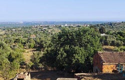 São Bartolomeu De Messines, Algarve 8375