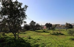 BOLIQUEIME, Loulé, Faro