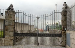 Braga, Braga 4705