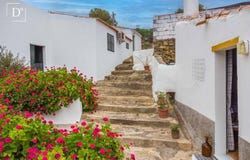 Mértola, Beja 7750