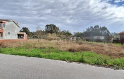 Cantanhede, Coimbra District