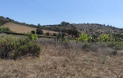 Beja, Beja District