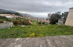 Santo Antônio, Madeira 9020