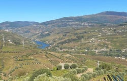 Viseu, Viseu District