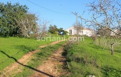 Lagoa (algarve), Faro