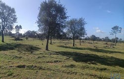 Montijo, Setúbal 2985-204