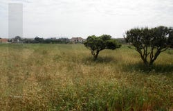 ALCOCHETE, Setubal
