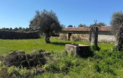 Tinalhas, Castelo Branco District