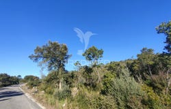 Malhou, Louriceira e Espinheiro, Alcanena, Santarém District 2380
