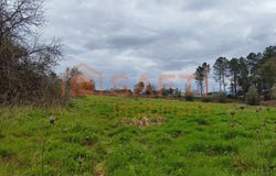 Leiria, Leiria District