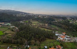 Oliveira, Braga
