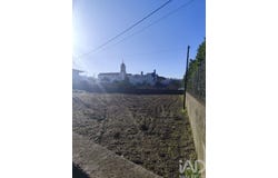 Braga, Braga
