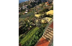 Câmara De Lobos, Madeira 9300