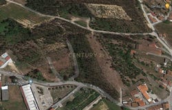 Coz, Leiria District