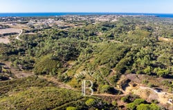 Quinta Do Conde, Setúbal 2865