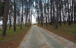 Belmonte, Castelo Branco