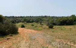 Olhão, Algarve 8700-132