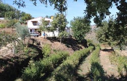 Tábua, Coimbra 3420