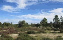 Moita, Setubal 2860
