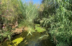 Querença, Algarve
