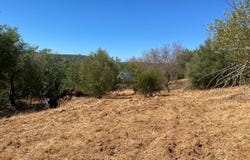 Loulé, Algarve
