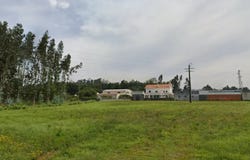 Rua do Rodelo, Cortegaça, Aveiro District 3885