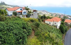 Ilha da Madeira, Madeira