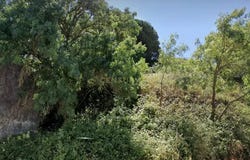 Almargem do Bispo, Lisbon