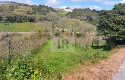 Caldas da Rainha, Leiria District