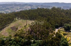Fafe, Braga
