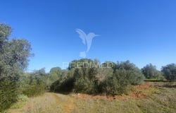 Monsanto, Alcanena, Santarém District