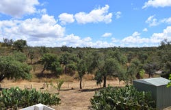 Ourique Municipality, Beja 7670