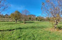 Viseu, Viseu District