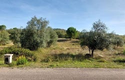 Leiria, Leiria District