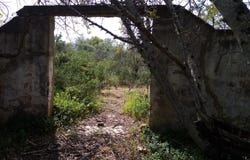 São Clemente, Algarve