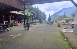 Ilha da Madeira, Madeira
