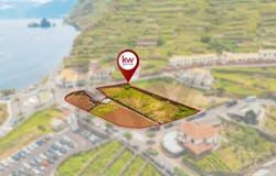 PORTO MONIZ, Madeira