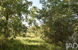 Santarém, Santarém District
