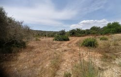 Mexilhoeira Grande, Algarve