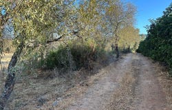 ALGOZ, Algarve
