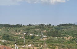 Mangualde, Viseu District