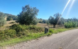 Leiria, Leiria District