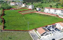 Vila Real, Vila Real District