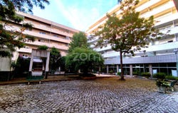 Anadia, Aveiro District